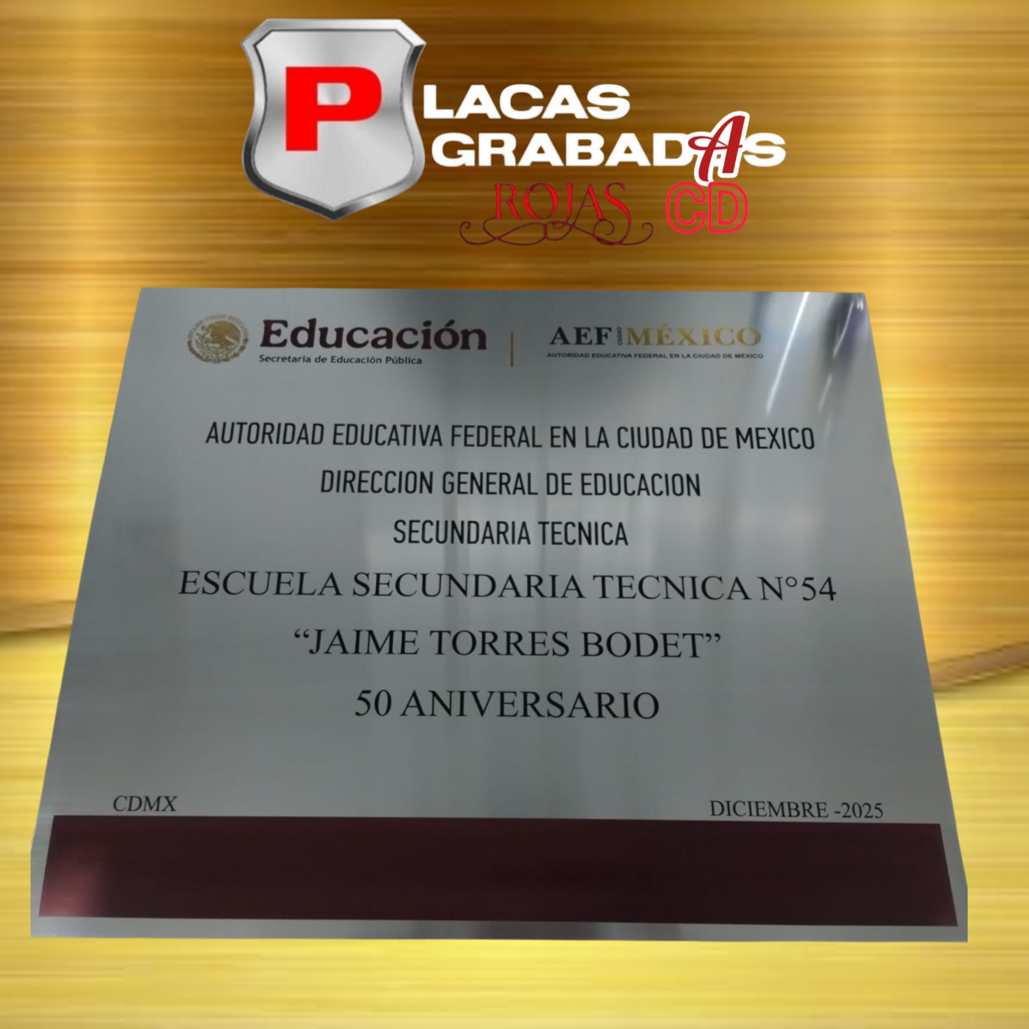 project_20251108_1821442-01