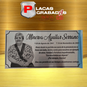 project_20251108_1857523-01