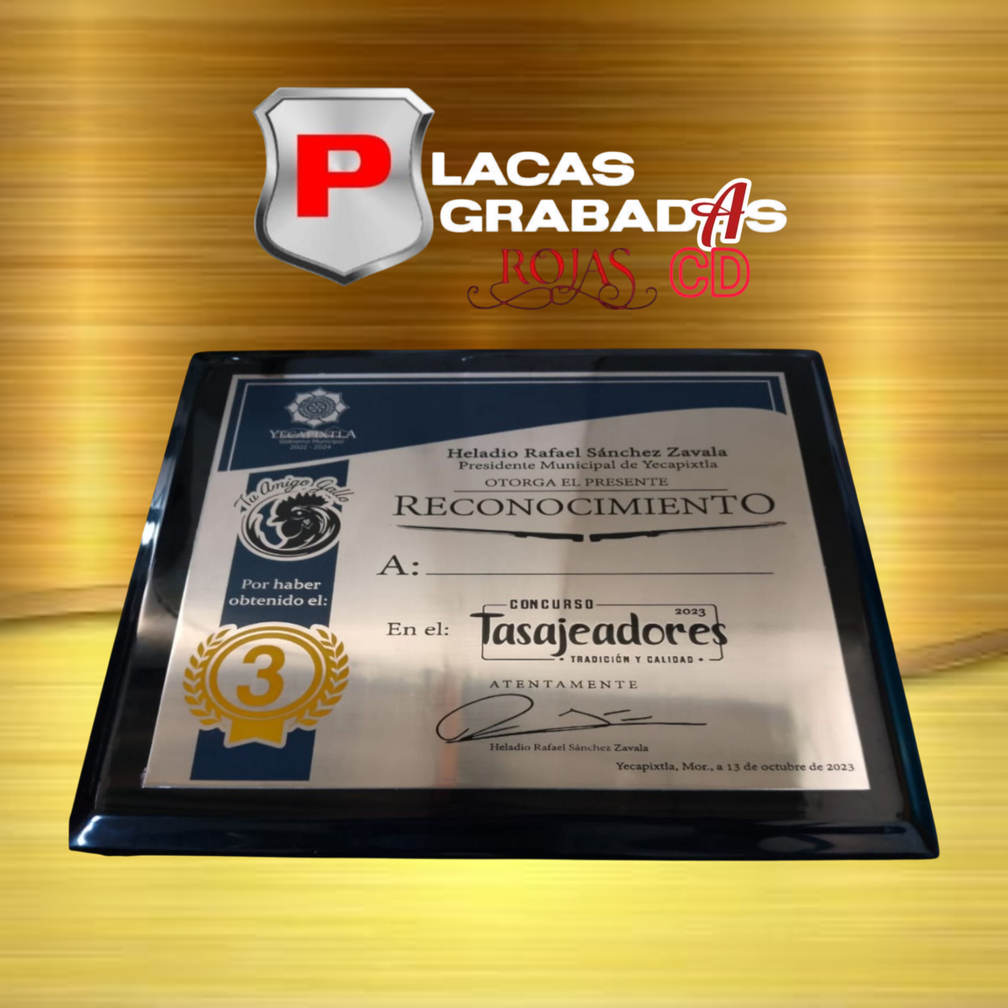 project_20251111_2100510-01