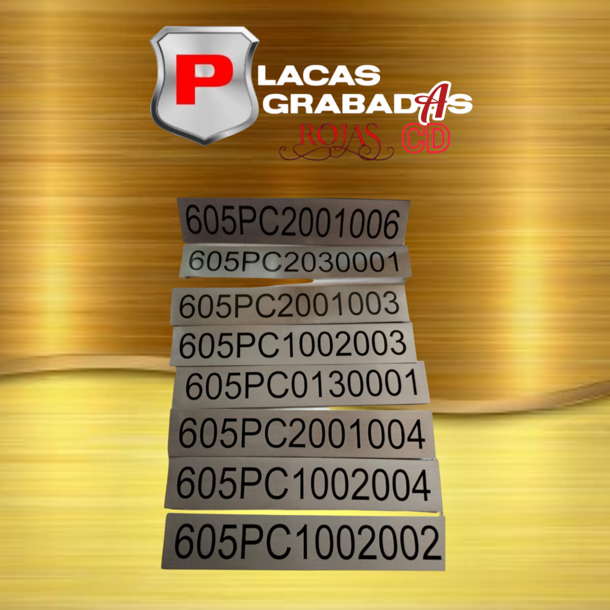 project_20251111_2129598-01