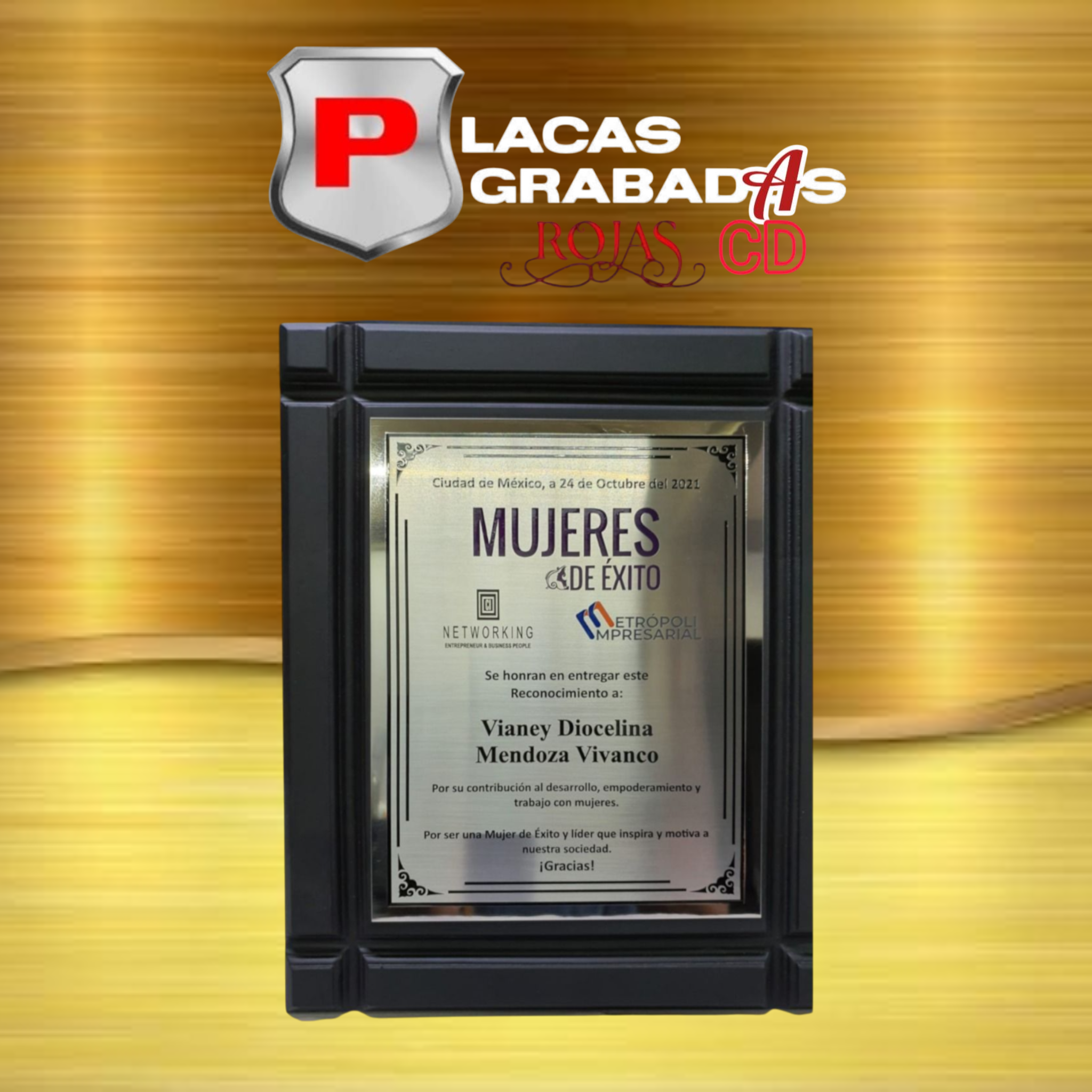 project_20251111_2133030-01