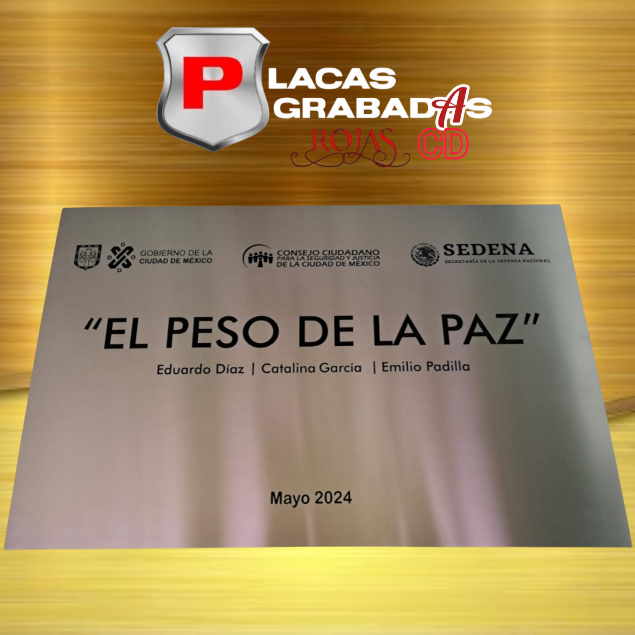 project_20251111_2134187-01