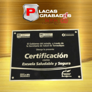 project_20251111_2139314-01