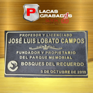 project_20251111_2140247-01