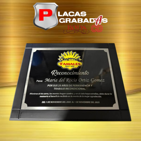 project_20251108_1822221-01